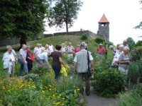 Vogelsberggarten mit Schloßbergturm im Hintergrund